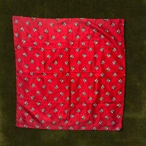True Vintage 1970s Oktoberfest Silk Alpine Edelweiss🇨🇭 Red Floral Scarf 22"